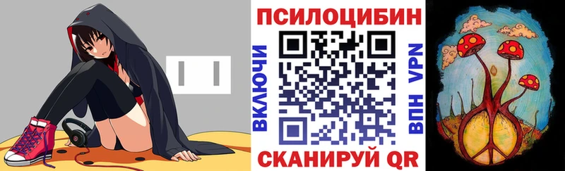 как найти наркотики  Верхняя Тура  Галлюциногенные грибы мицелий 